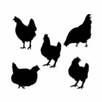 five sets of chicken silhouettes that you can use for breeding vector