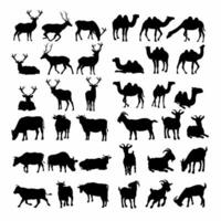 thirty six sets of silhouettes of cows, goats, camels, deer that you can use for breeding vector