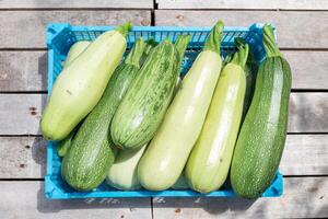 Fresh green zucchini neatly arranged in a blue plastic crate on a wooden surface. Vegetable harvesting photo