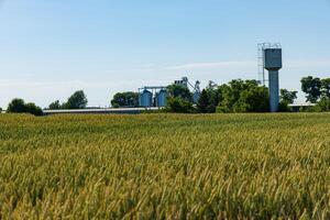 A grain storage facility with silos towers in the background, surrounded by lush green fields in a peaceful rural setting under sunny weather photo