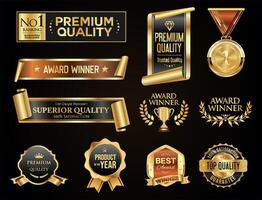 Collection of award winner badges vector