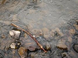 A stick resting on rocks in a small stream water photo