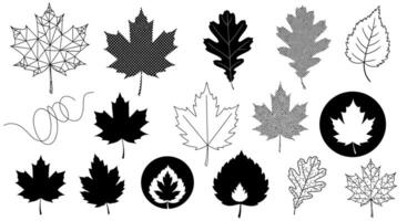 Leaf Set Autumn Leaves Icons. vector
