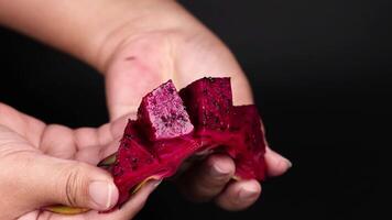 Hands peeling and displaying vibrant dragon fruit video