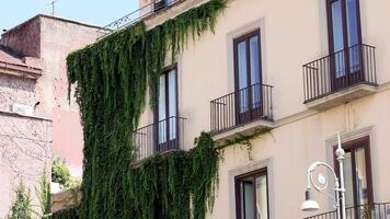 A building with ivy-covered walls and balconies video