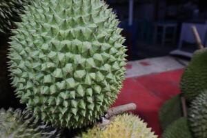 A bunch of durian fruit is on display photo