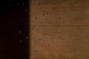 Abstract backgrond dropped water stop motion and dripping to the ground from Shower on blur orange brown background at outdoor light.a photo