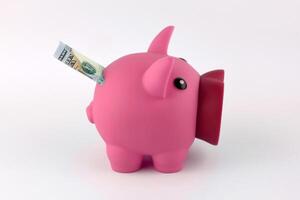 The pink piggy bank and 100 dollars on white table. photo