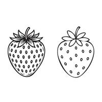 Two Black and White Strawberry Outlines with Detailed and Simplified Designs vector