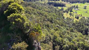 Aerial footage captures lush greenery and rocky cliffs in Nimbin, Australia, under bright daylight video