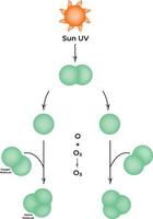 Ozone Layer Formation The Reaction of Oxygen Molecules with UV Radiation vector