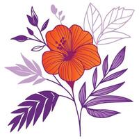 botanical floral illustration of cotton flower and delicate stem leaves drawn in a soft minimal hand sketched style vector