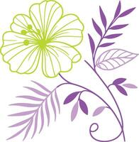 botanical floral illustration featuring hand drawn stem leaves and cotton flower in a modern minimal composition vector