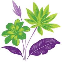 cotton flower and leaf stem composition in hand painted style with elegant modern lines for interior art vector