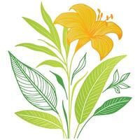 cotton blossom and natural leaves hand drawn in a modern botanical art format for textile and wall prints vector