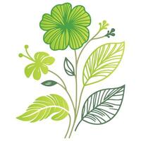 elegant botanical drawing of flowers with cotton bloom and leafy lines in a hand illustrated modern layout vector