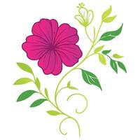 hand painted flowers and stem leaves in a fine botanical format for decorative digital use and fashion prints vector