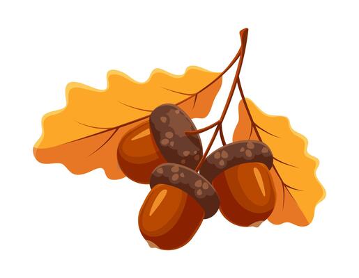 Cartoon autumn acorns with caps and oak leaves