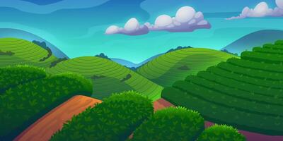 Tea plantation mountain farm fields landscape vector