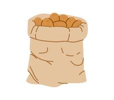 Burlap sack filled with ripe and fresh potatoes vector
