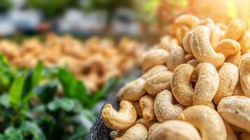 Close-Up Of Fresh Cashew Nuts With Water Droplets In Outdoor Market. Nutritious Snack And Healthy Food Choice photo