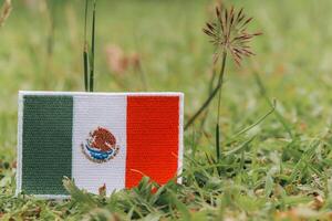 Mexico flag Eco friendly MEX flag crafted from colorful threads, lying on grass with wildflowers. Horizontal photo with copy space for text. Earth day, natural calmness.