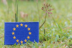 Eco friendly embroidered European Union flag lying on green grass with wildflowers. Natural light, earth day, climate change vibe. Horizontal photo with copy space.