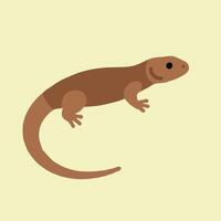 A lizard on a yellow background vector
