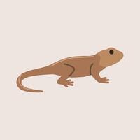 A lizard on a light background vector