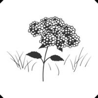 Silhouette of a hydrangea cluster with tiny rounded florets, floral vector