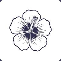 Silhouette of five wide hibiscus petals with extended central stamen, floral line art, high-quality flower vector