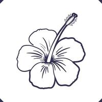 Silhouette of five wide hibiscus petals with extended central stamen, floral line art vector