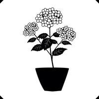 Silhouette of a hydrangea cluster with tiny rounded florets vector