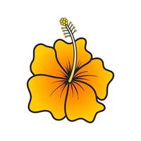 Golden hibiscus flower bloom illustration vector