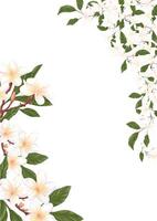 Jasmine and frangipani flower frame design vector