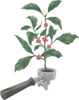 Colored drawing painting of portafilter with coffee plant vector
