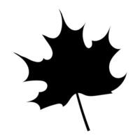 Silhouette of one leaf on a white background. Black maple. . vector