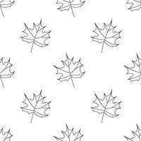 Seamless pattern of outline leaves. Maple foliage doodle design. Autumn. . vector