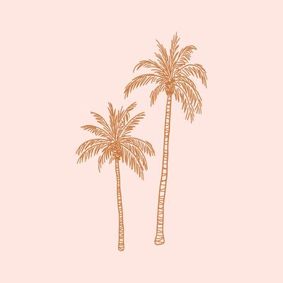 Palm tree with leaf and trunk. Exotic tropical summer plant silhouette with leaves. Botanical hand drawn illustration in sketch style