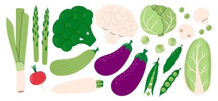 Collection of vegetables cabbage, cauliflower, broccoli, Chinese cabbage, spring onion, radish, eggplant, zucchini, peas, asparagus. Healthy vegetarian food. Hand drawn flat illustration vector