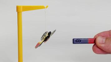 A hand manipulates a magnet near a suspended butterfly model, demonstrating magnetic attraction and repulsion in a controlled environment video