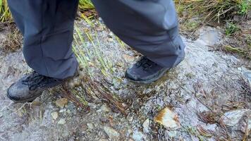 A person navigates a muddy stream in hiking boots, surrounded by lush vegetation, under natural daylight video