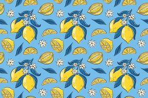 Lemon pattern with leaves and flowers vector