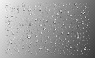 Realistic water drops. Ideal for weather effects, glass textures, or moisture design elements. vector