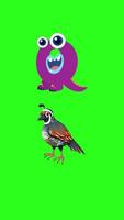 A playful animation introducing the letter Q with a cartoon quail and vibrant green background video