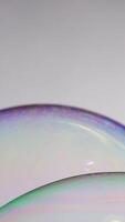 Close-up of soap bubble with shifting colors under soft lighting, capturing delicate surface reflections video