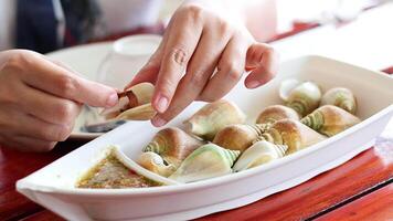 Hands savoring conch shells at a table video