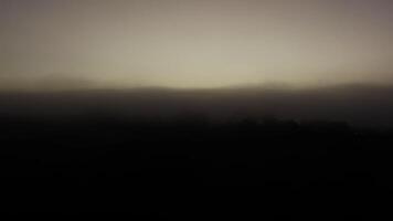 Sunrise illuminating misty forest with gradual light changes video