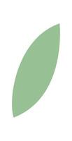 Stylized green leaves create a modern, flat representation. A simple depiction of nature reflects freshness and tranquility. This botanical concept serves versatile purposes, suitable for design vector