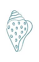 Chalk seashell doodle. Crayon seashell shape. Underwater aquatic creature, marine life, ocean texture, summer style, potential for stickers, flyers, or childrens illustrations. vector